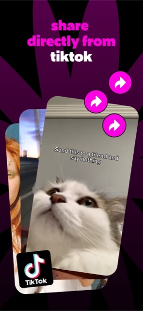 Seen: sending a video to a group